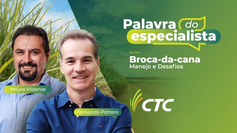 Novo epis&oacute;dio do Palavra do Especialista aborda estrat&eacute;gias para o controle da broca-da-cana